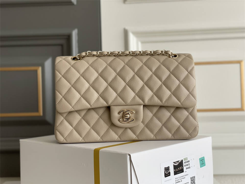 Chanel classic flap 25cm 2025 new 